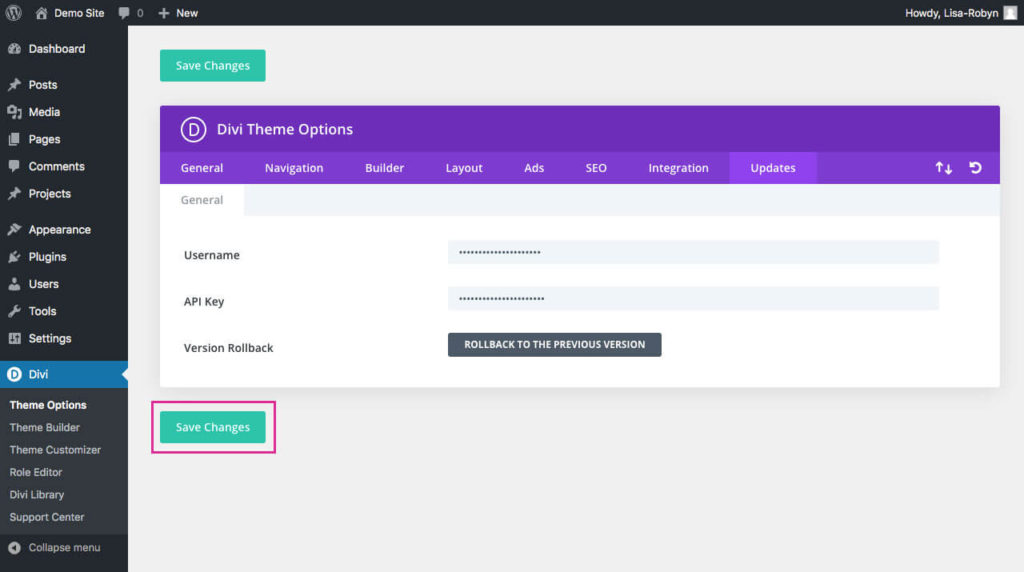 Divi Theme Options Updates tab Save Changes