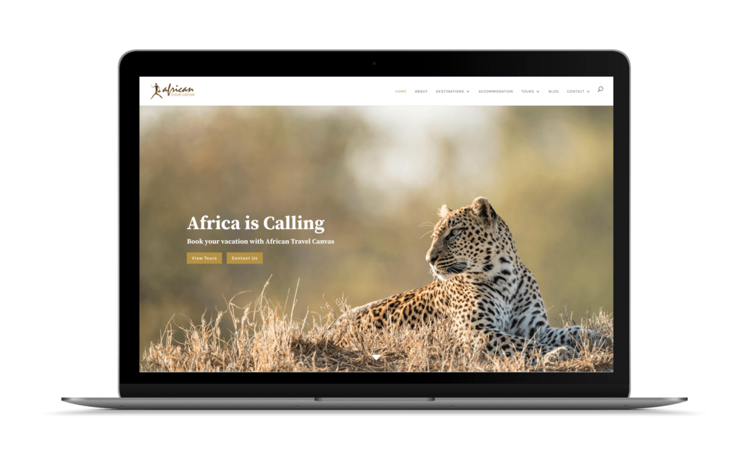African Travel Canvas | Luxury Safari Tour Operator
